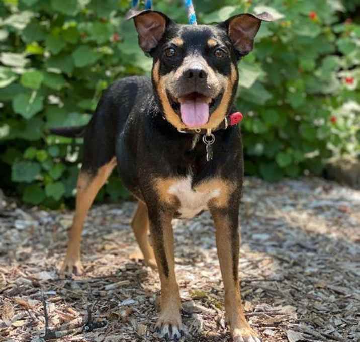 Photo of Roscoe
