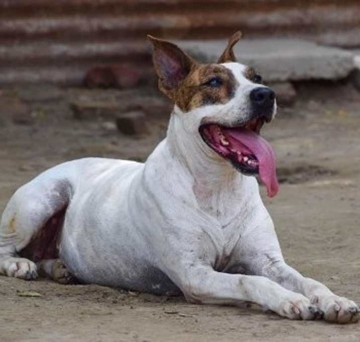 Photo of Diva