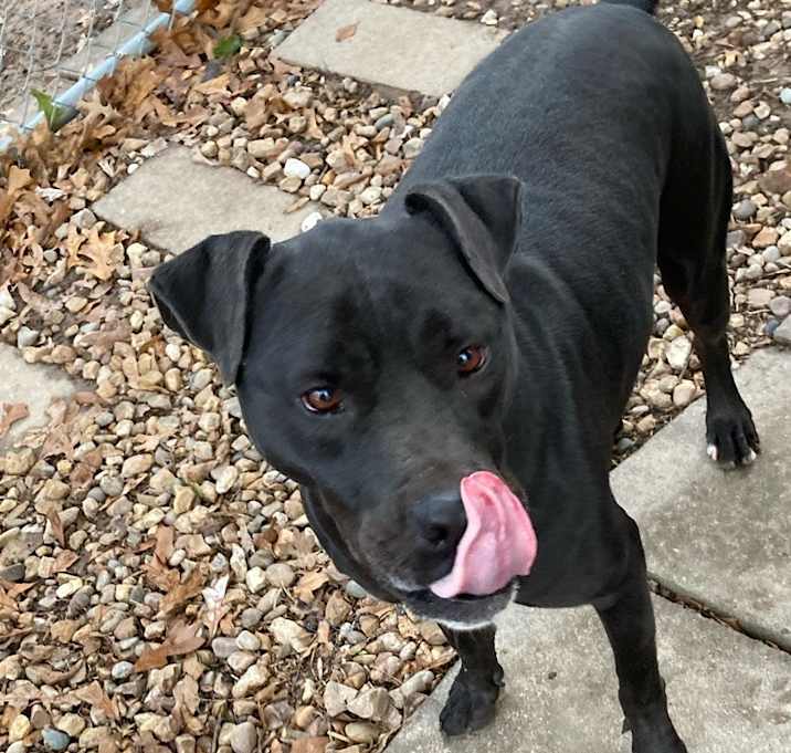 Photo of Spud