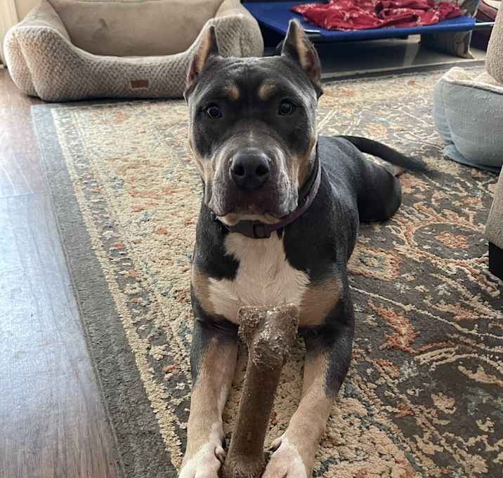 Photo of Nyla