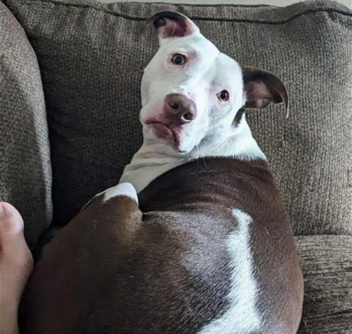 Photo of Daxton