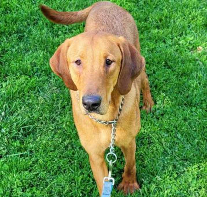 Photo of Buddy