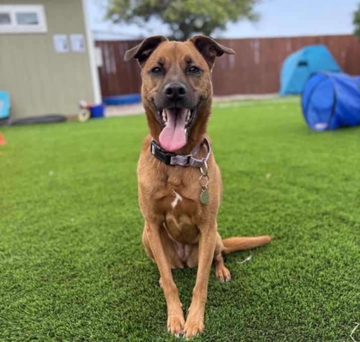 Photo of Phoebe