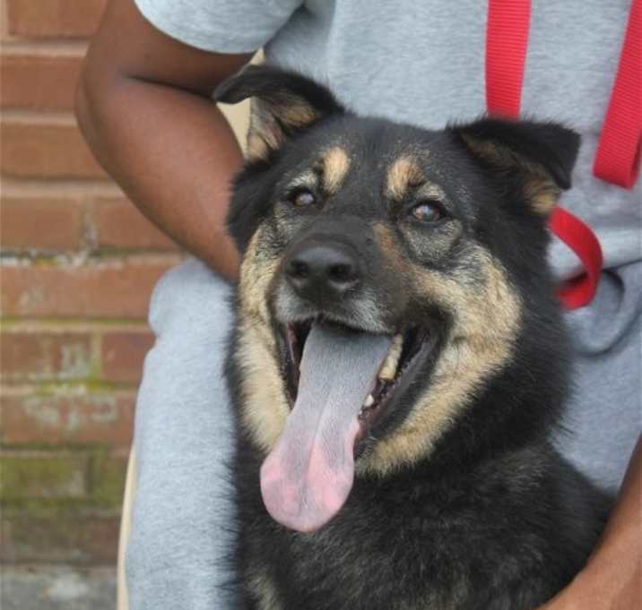 Photo of Woofie
