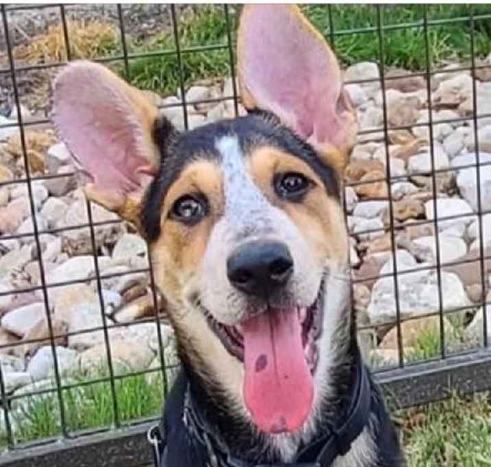 Photo of Ellie aka Eddy