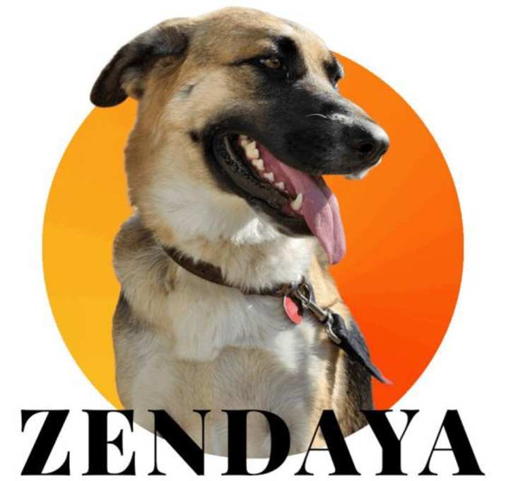 Photo of Zendaya