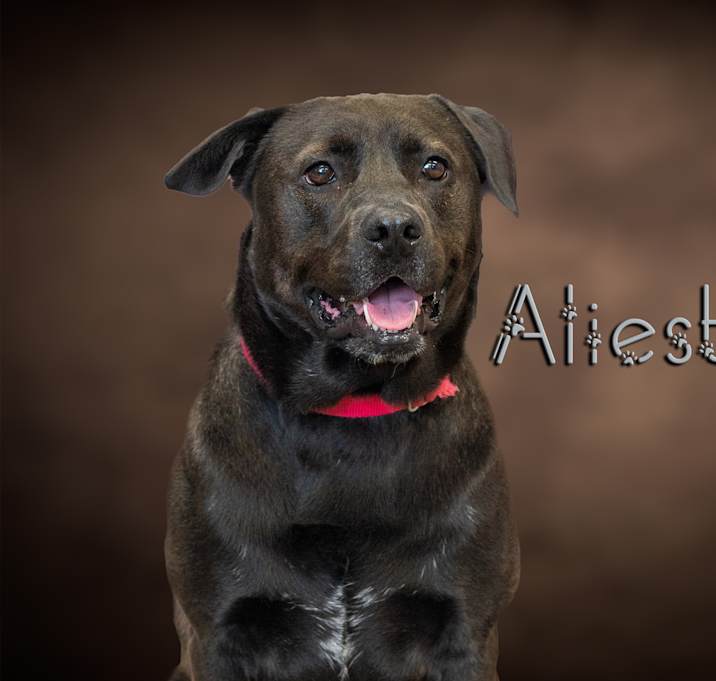 Photo of Aleister