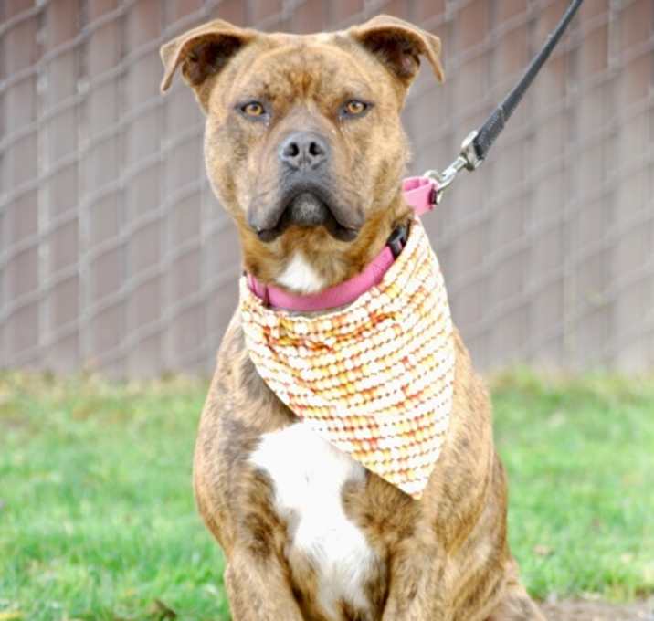 Photo of Bixby