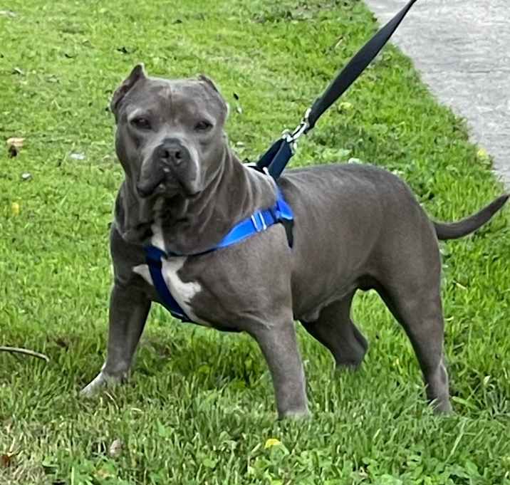 Photo of Vinnie