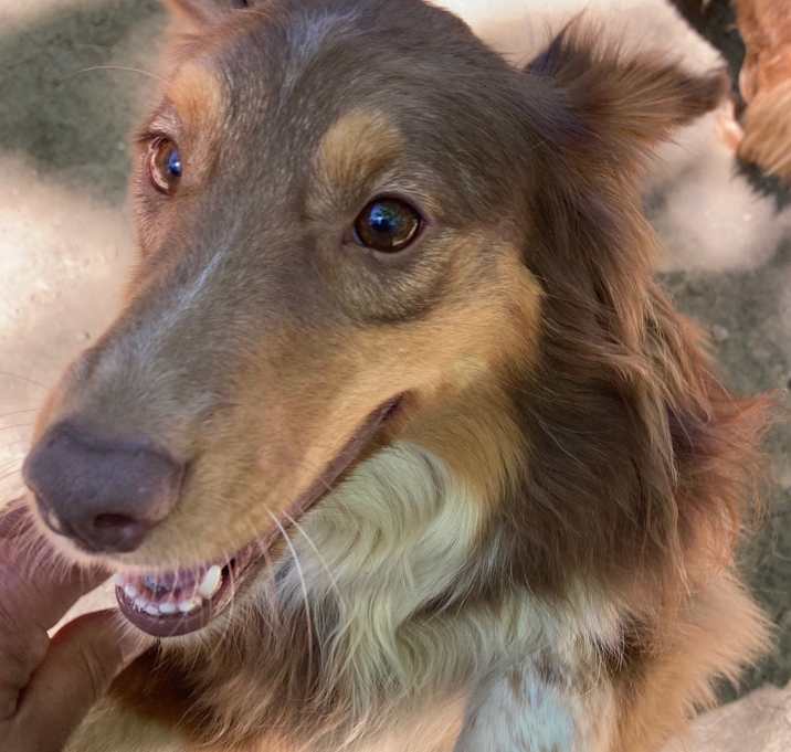 Photo of Murphy