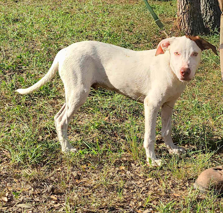 Photo of Grady