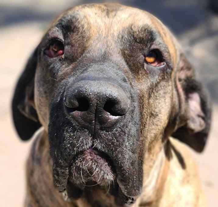 Photo of Hemi