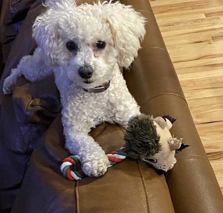 Photo of Minnie