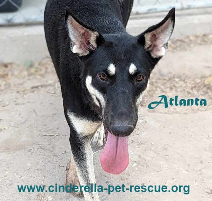 Photo of Atlanta