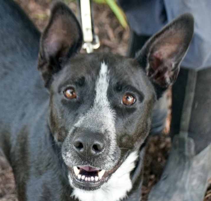 Photo of Roxi