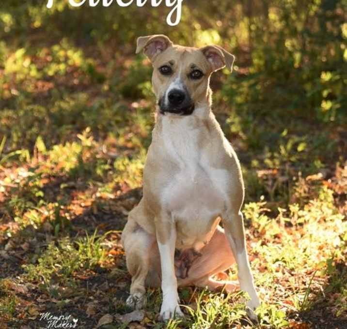 Photo of Felicity