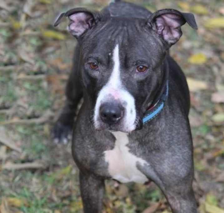 Photo of Duchess