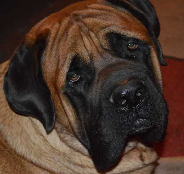 Photo of Sergei