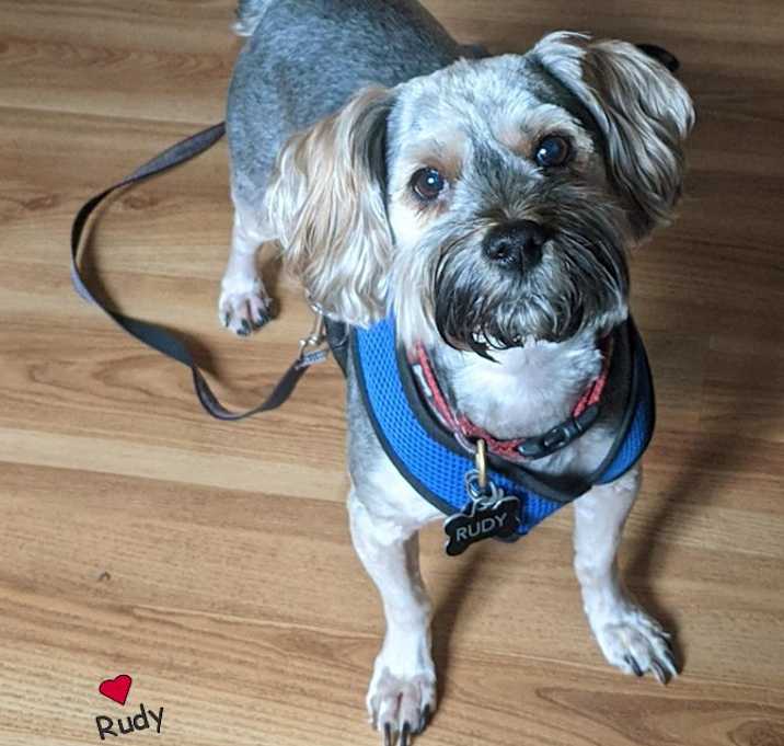 Photo of Rudy