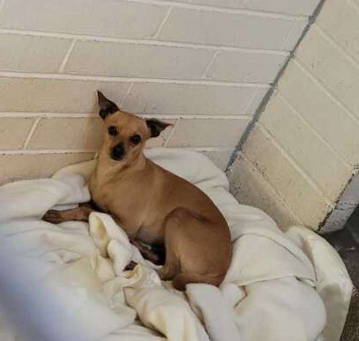Photo of Paco