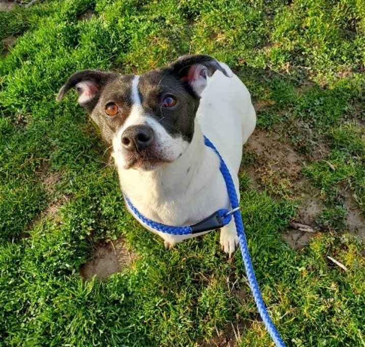 Photo of Sienna