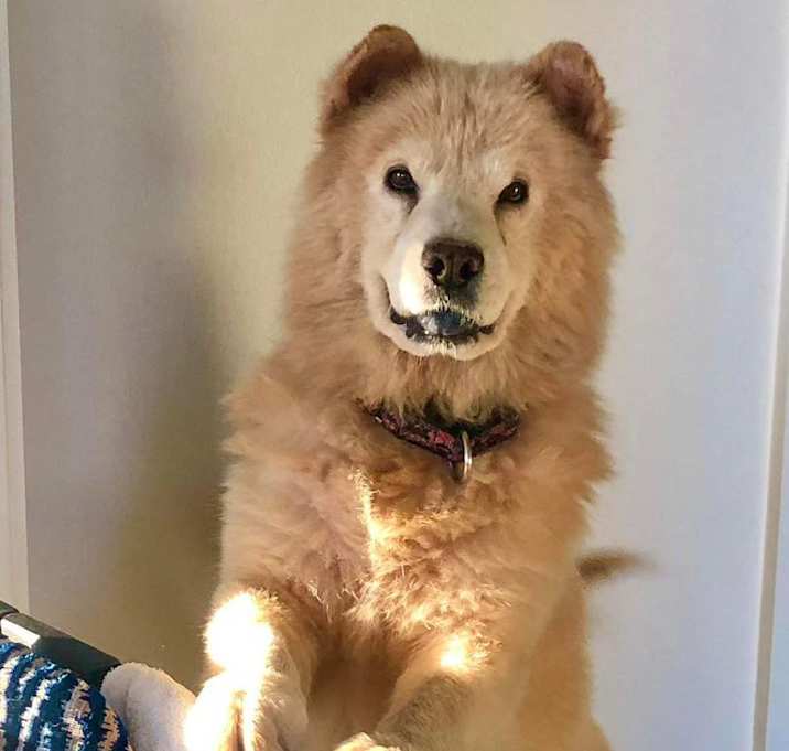 Photo of Daisy
