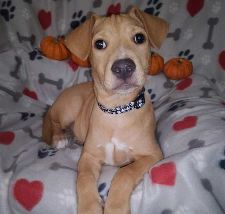 Photo of Jack