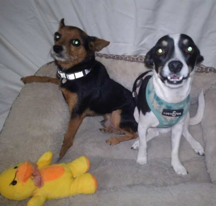 Photo of Micah and Pedro