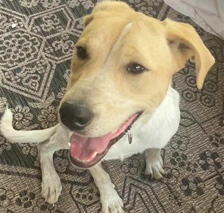 Photo of Lovely Lucy