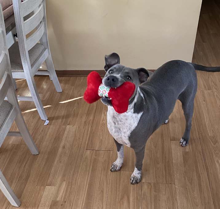 Photo of Zeke
