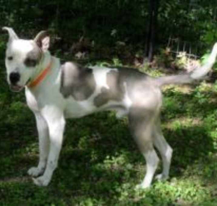 Photo of Rico