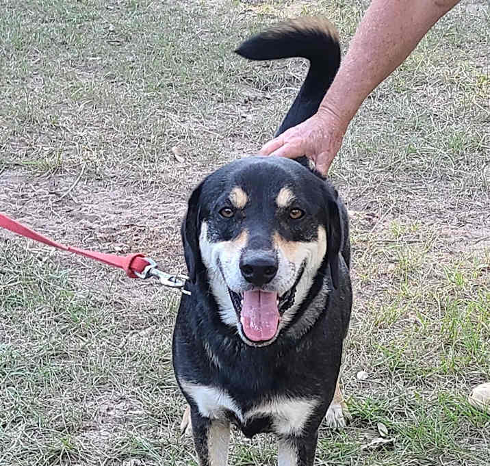 Photo of Oliver