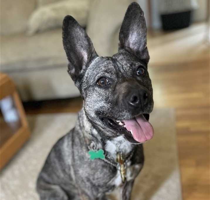 Photo of Heidi