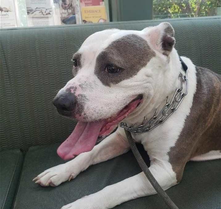 Photo of DIXIE