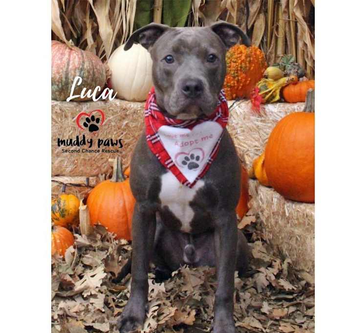 Photo of Luca