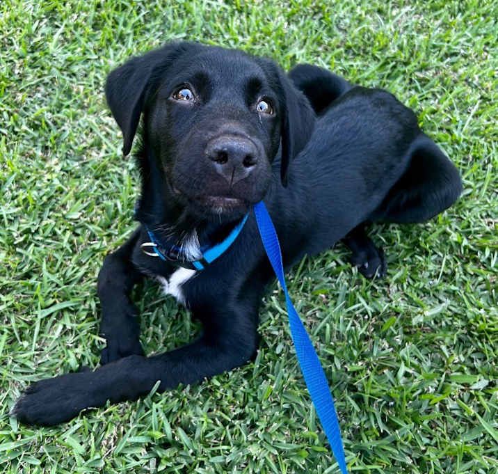 Photo of Oakley