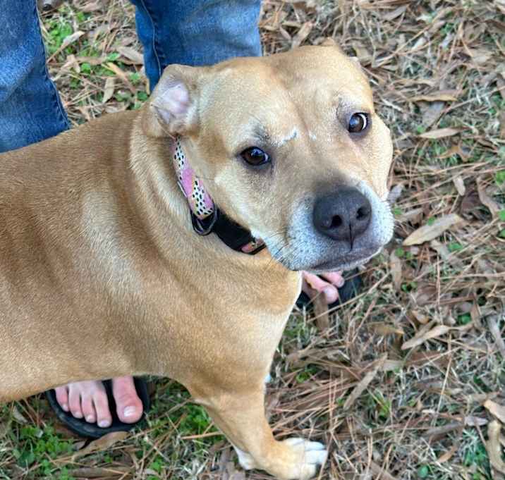 Photo of Sadie