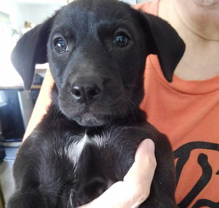 Photo of Jolly Jake