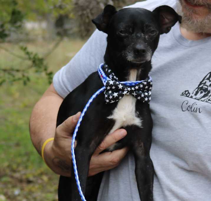 Photo of Smokey