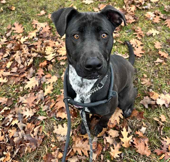 Photo of Zeke