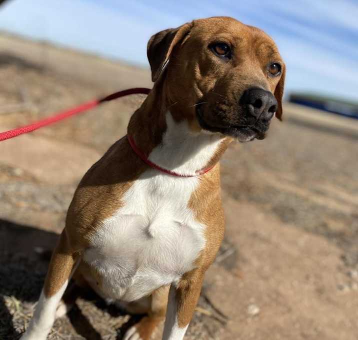 Photo of Ethel