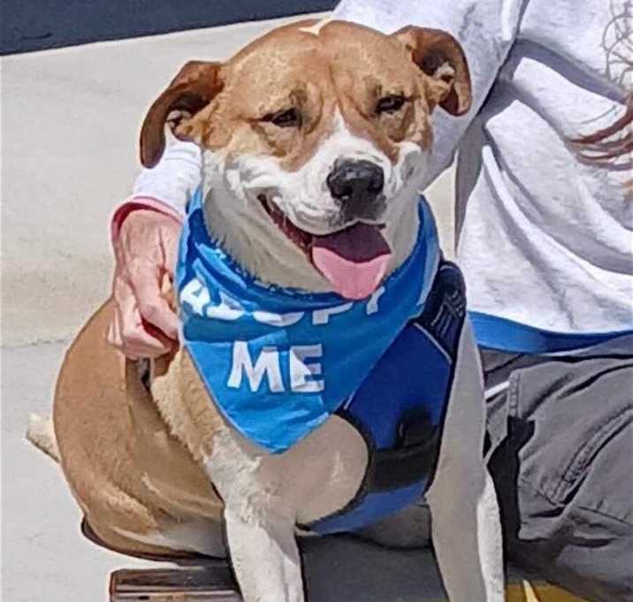 Photo of Bruno