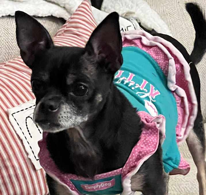 Photo of Chloe