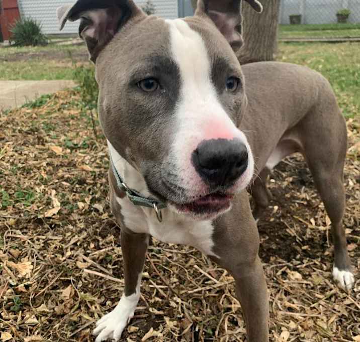 Photo of Billy