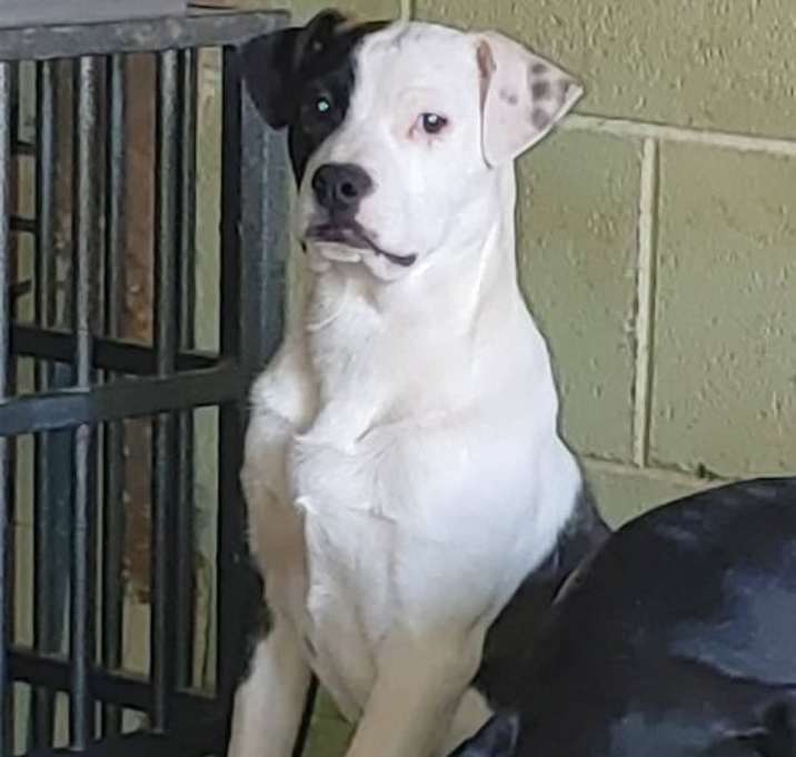 Photo of Brady