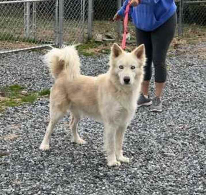 Photo of Cooper