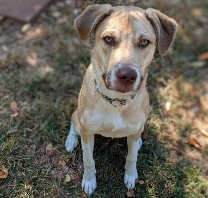 Photo of Deacon