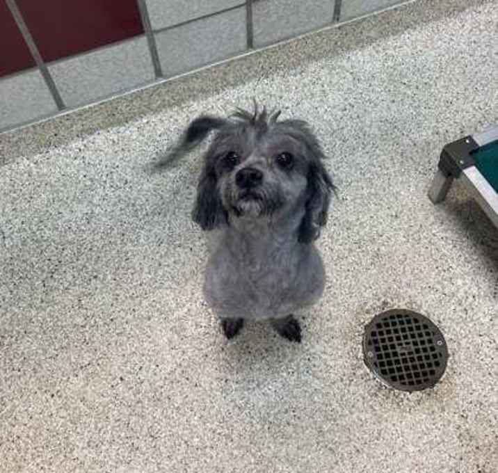 Photo of JUNEBUG