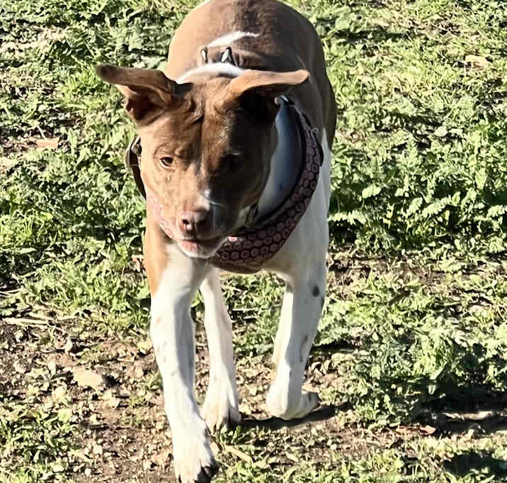 Photo of Hazel