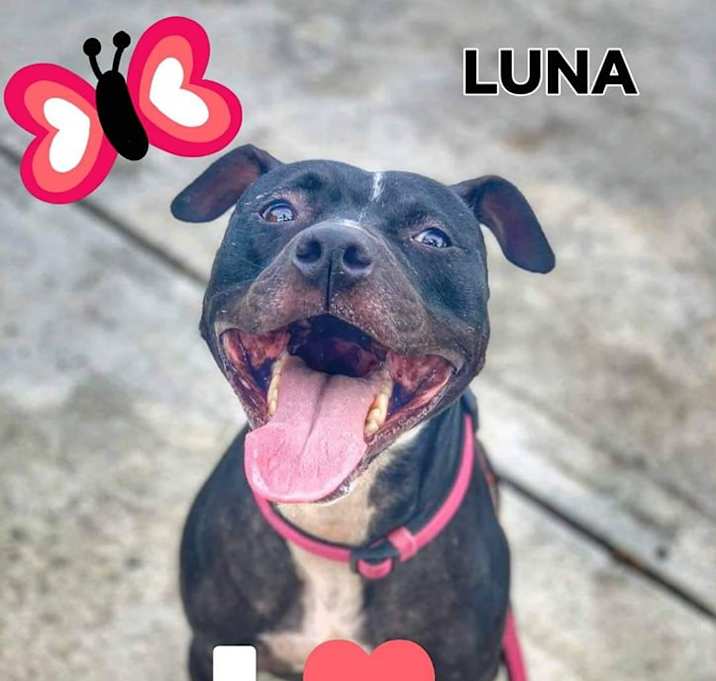 Photo of Lua